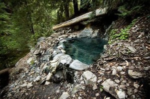 Aspen Mineral Springs