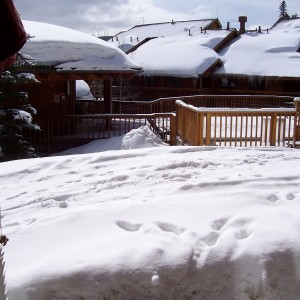 luxury rental house aspen