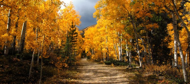 Maroon Bells - My Aspen Rental