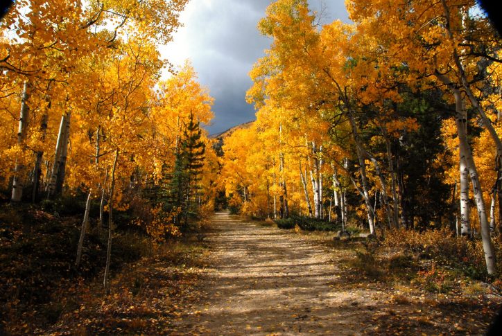 Maroon Bells - My Aspen Rental